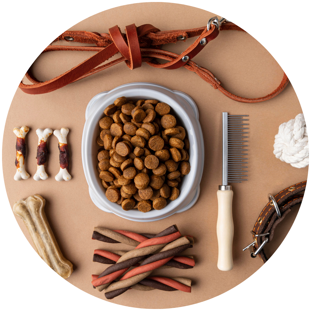 Pet Supplies & Accessories