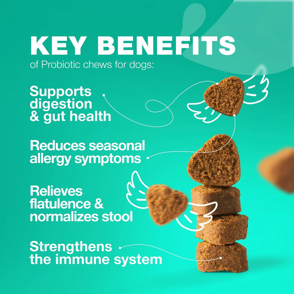 Probiotics for Dogs 180 Chews Support Digestion Immunity and Skin Health