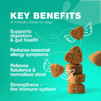 Probiotics for Dogs 180 Chews Support Digestion Immunity and Skin Health