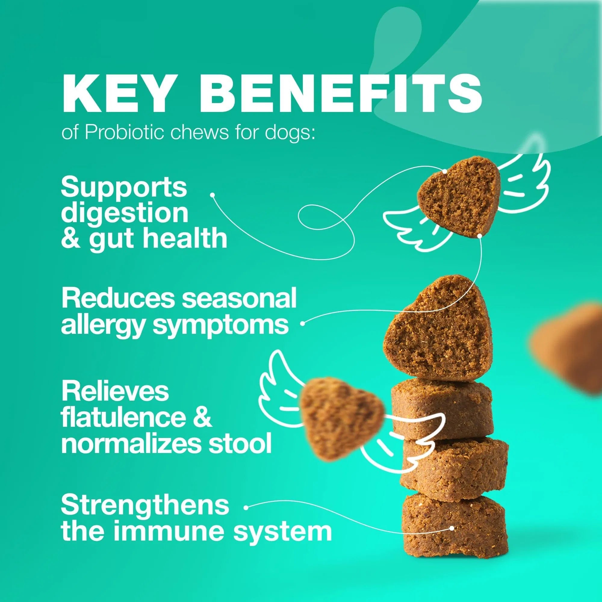 Probiotics for Dogs 180 Chews Support Digestion Immunity and Skin Health