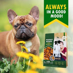 Dog Peanut Butter Bones With Cranberry Rawhide Free Chew Treats Pet Natural Mini & Big Organic Snacks Healthy Collagen & Bulk Best Chews For Small & Large Dogs