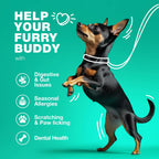 Probiotics for Dogs 180 Chews Support Digestion Immunity and Skin Health