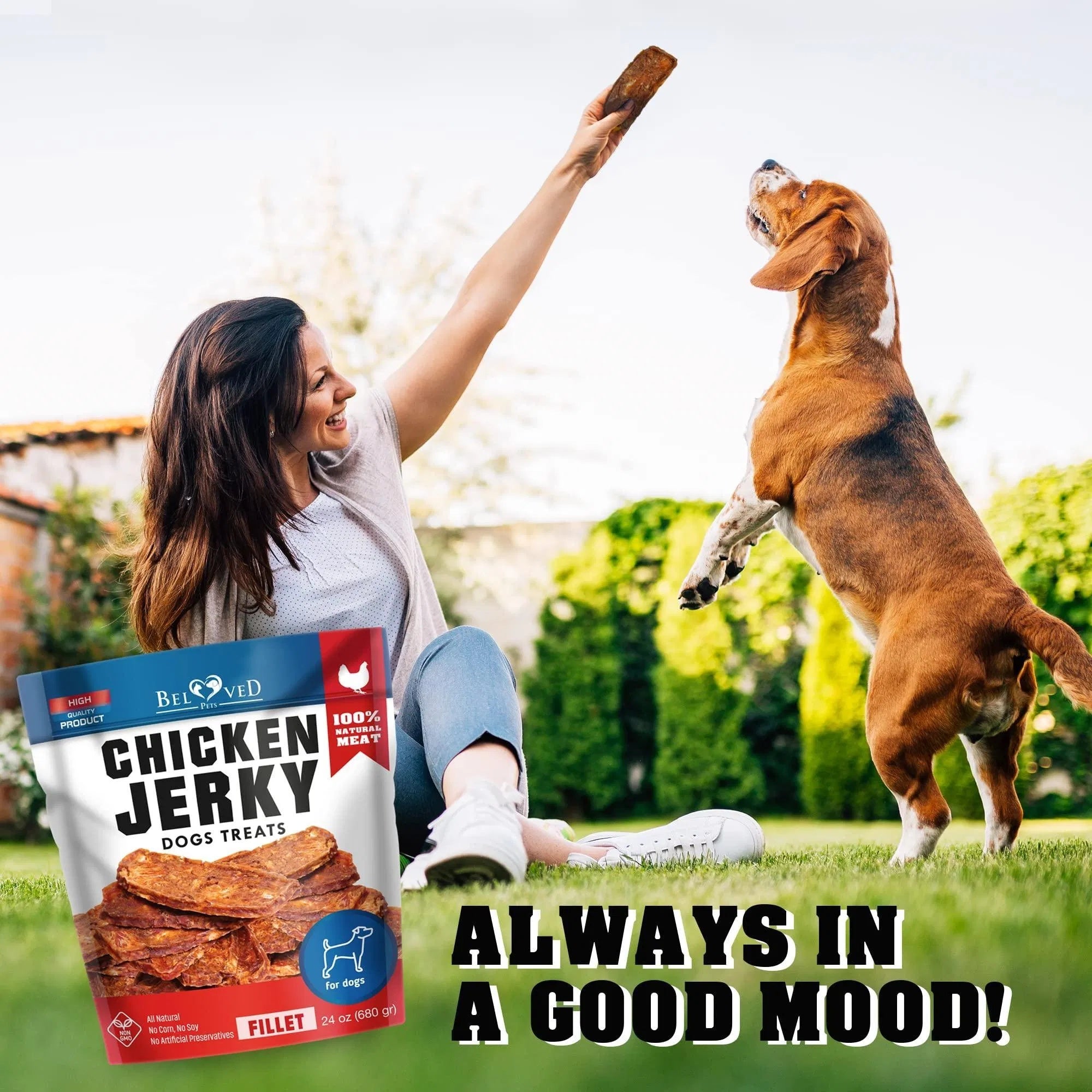 Chicken Jerky Treats for Dogs – 1.5 lb Natural High Protein Snacks