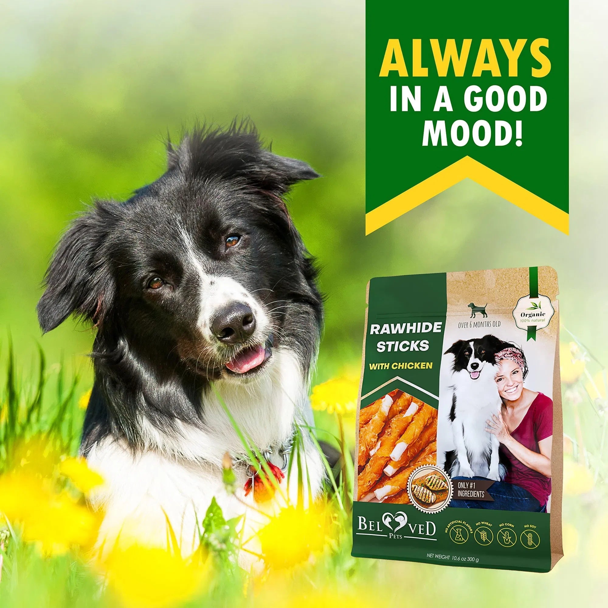 Chicken Wrapped Dog Sticks – Natural Grain-Free Chew Treats